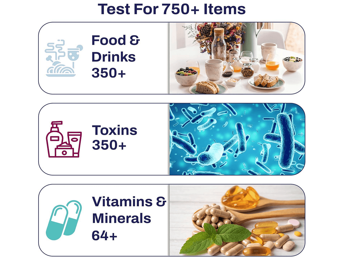 Mictronutrients Test